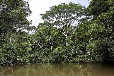 《上古卷轴5》大型Mod“Lordbound”演示 内容超丰富